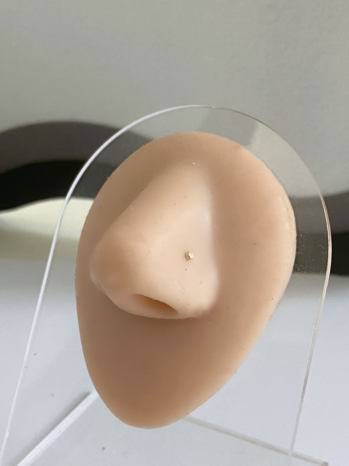 Actual product photo of Solid Gold Disc Nose Stud on a display nose
