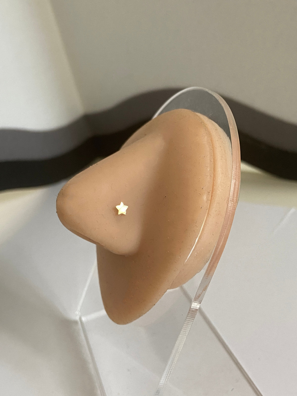 Actual product photo of Solid Gold Star Nose Stud on a display nose