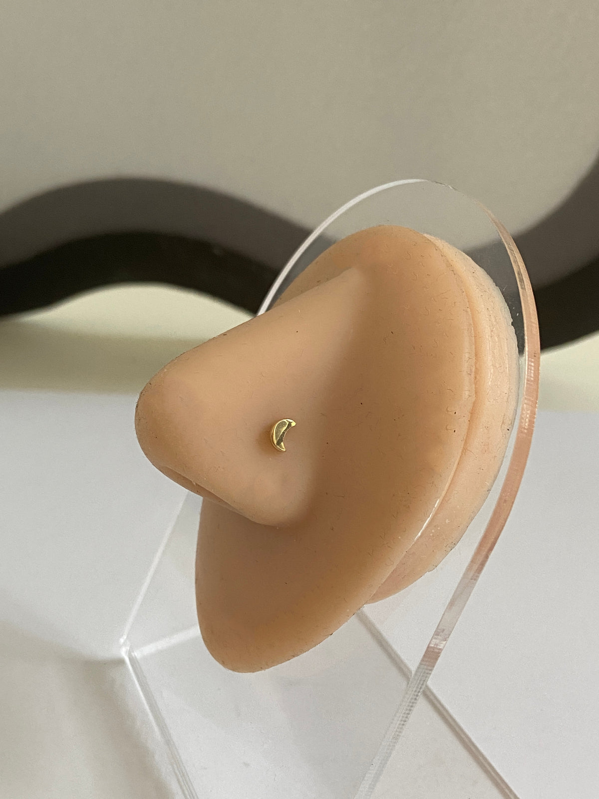 Actual product photo of Solid Gold Crescent Moon Nose Stud on a display nose