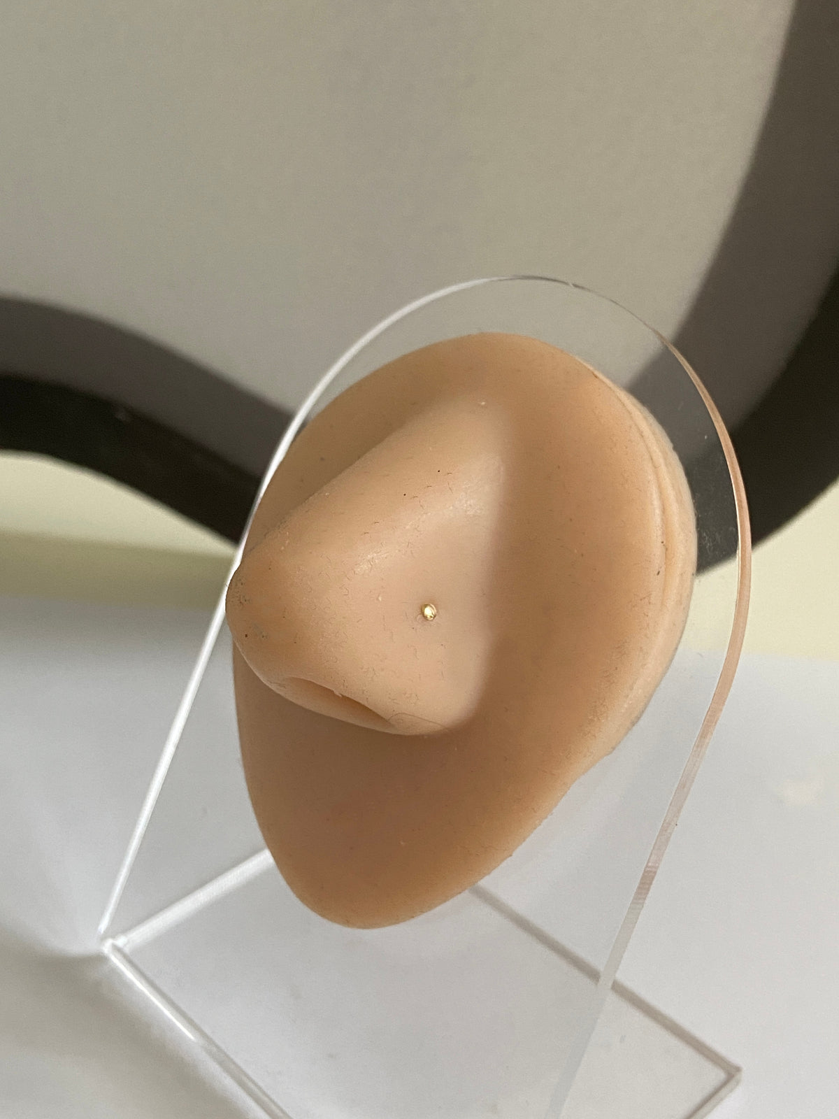 Actual product photo of Solid Gold Flat Disc Nose Stud on a display nose