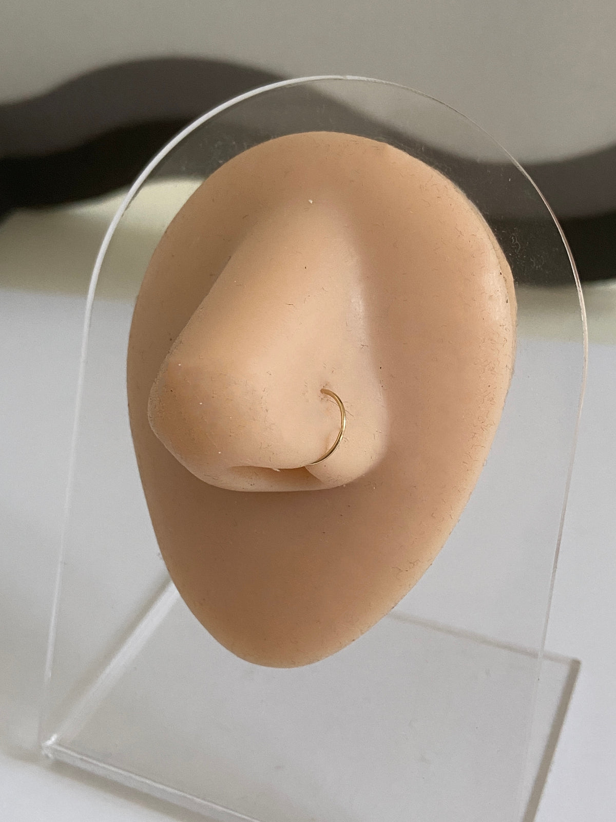Actual product photo of Solid Gold Seamless Nose Hoop on a display nose